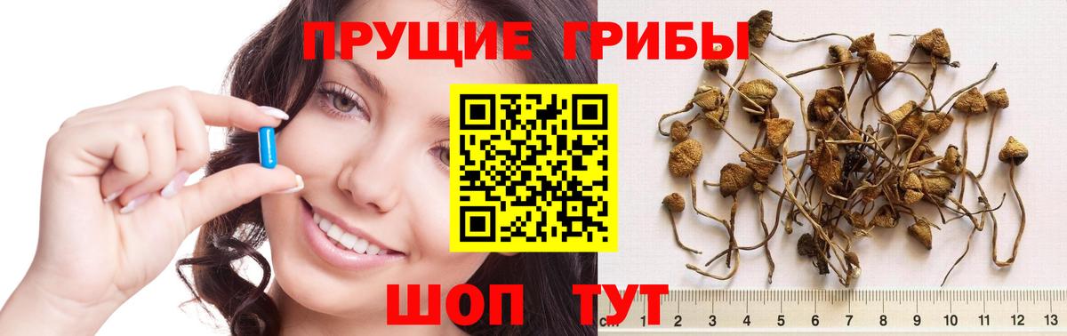 Галлюциногенные грибы прущие грибы Новоуральск